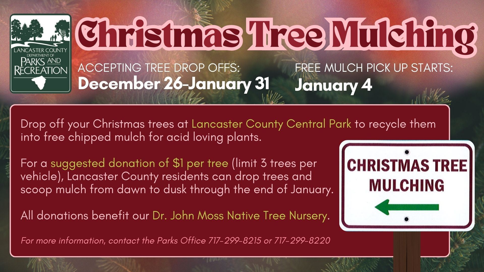 Christmas Tree Mulching 2024