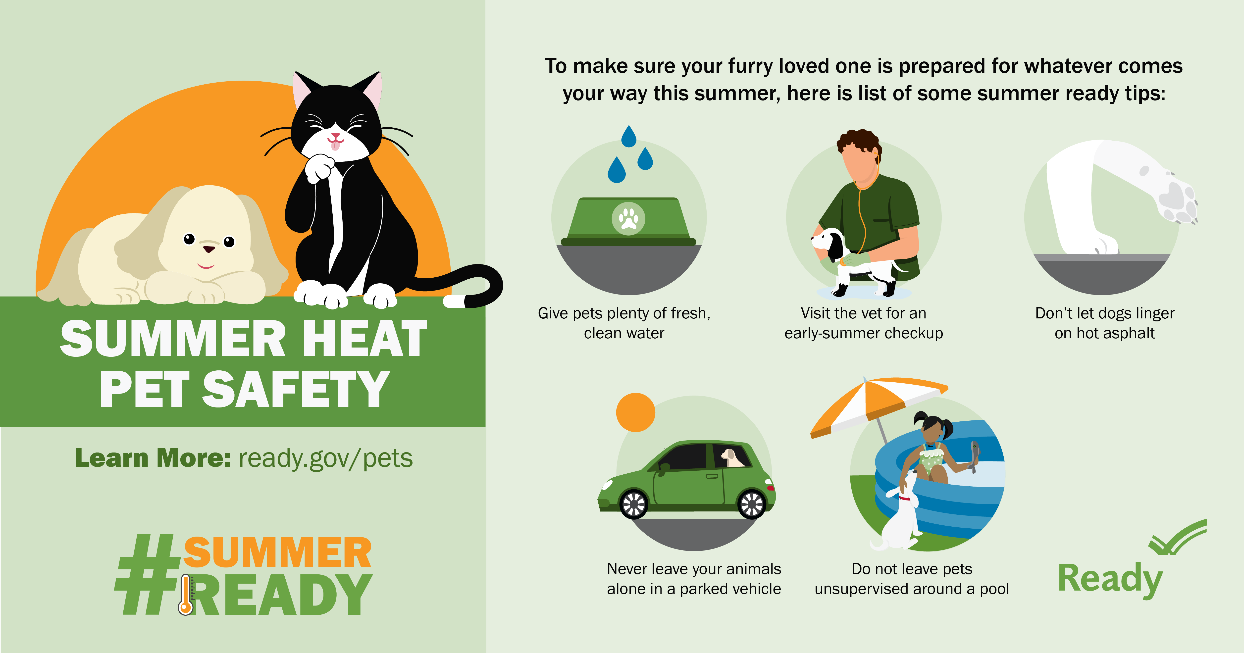 ready.gov summer heat pet safety. Cat and Dog sitting next to each other.